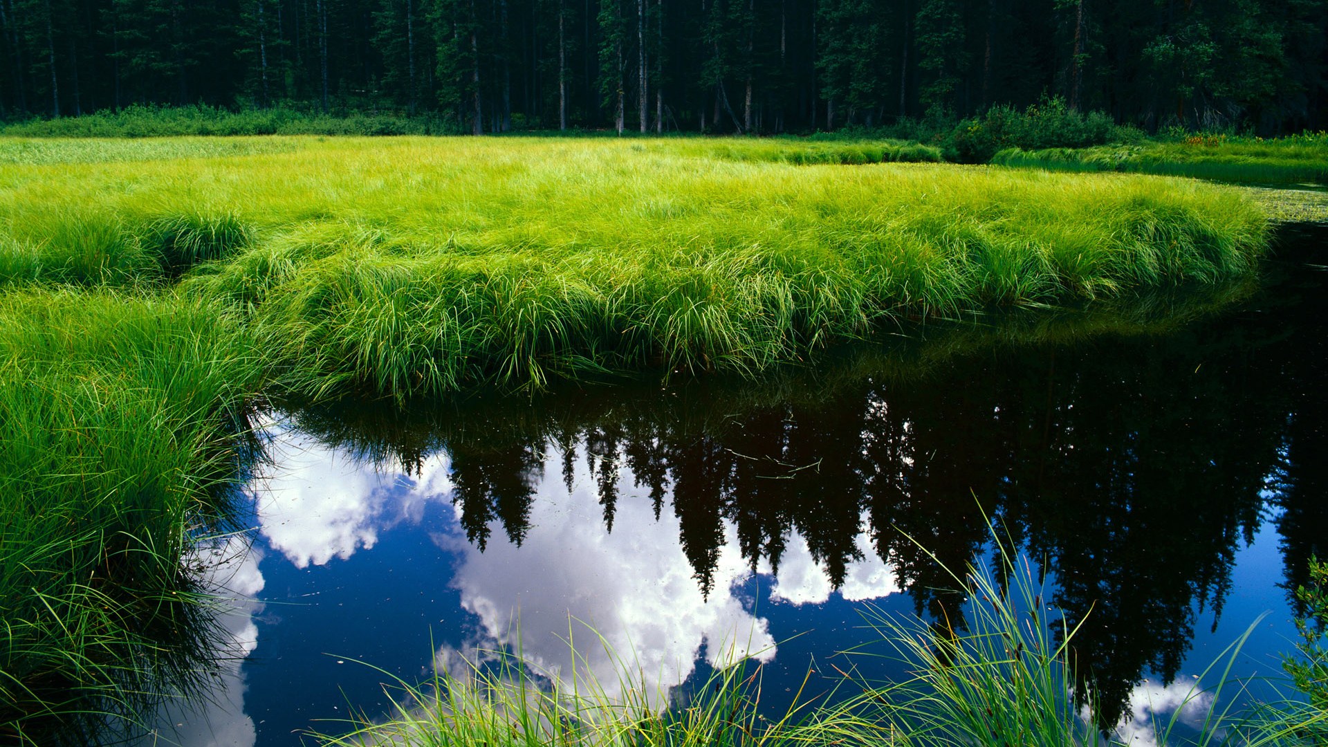 乐鱼体育app下载地址-NBA季前赛开启 新人球员表现令人期待，新赛季nba季前赛什么时候开始时间