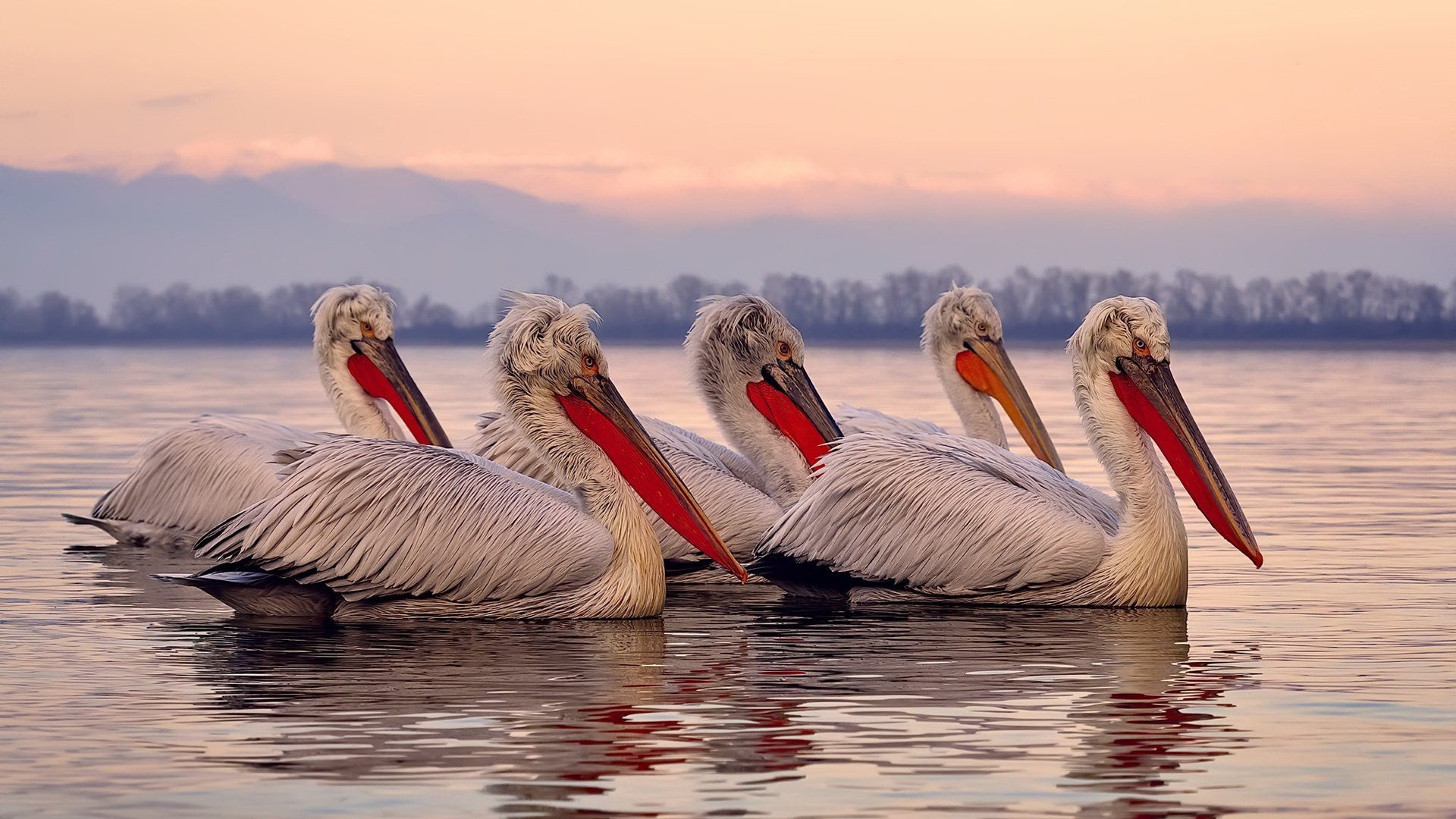 乐鱼官网安全-“羽毛球:简阳文体中心赛场高速对决,赛点难分难解”