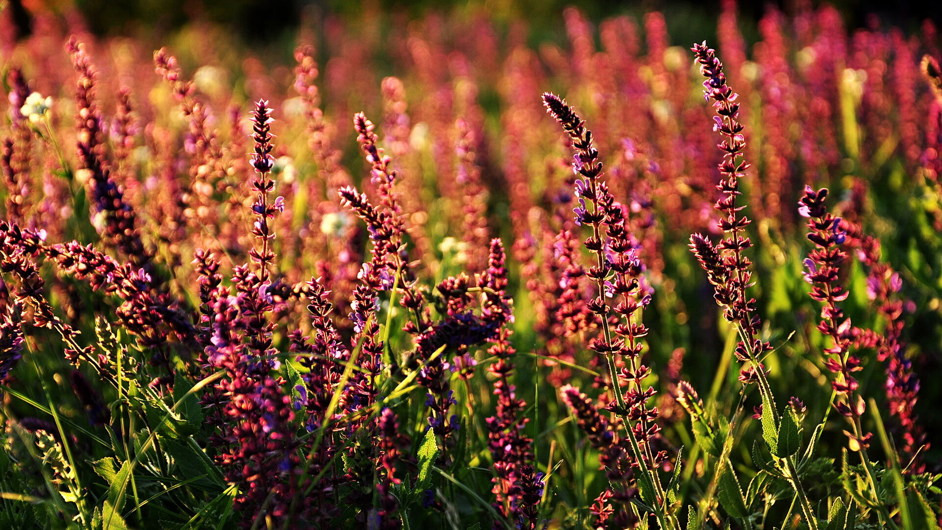 乐鱼体育平台官网-下半场失球增多是否成为中游球队普遍问题，下半场不进球的概率