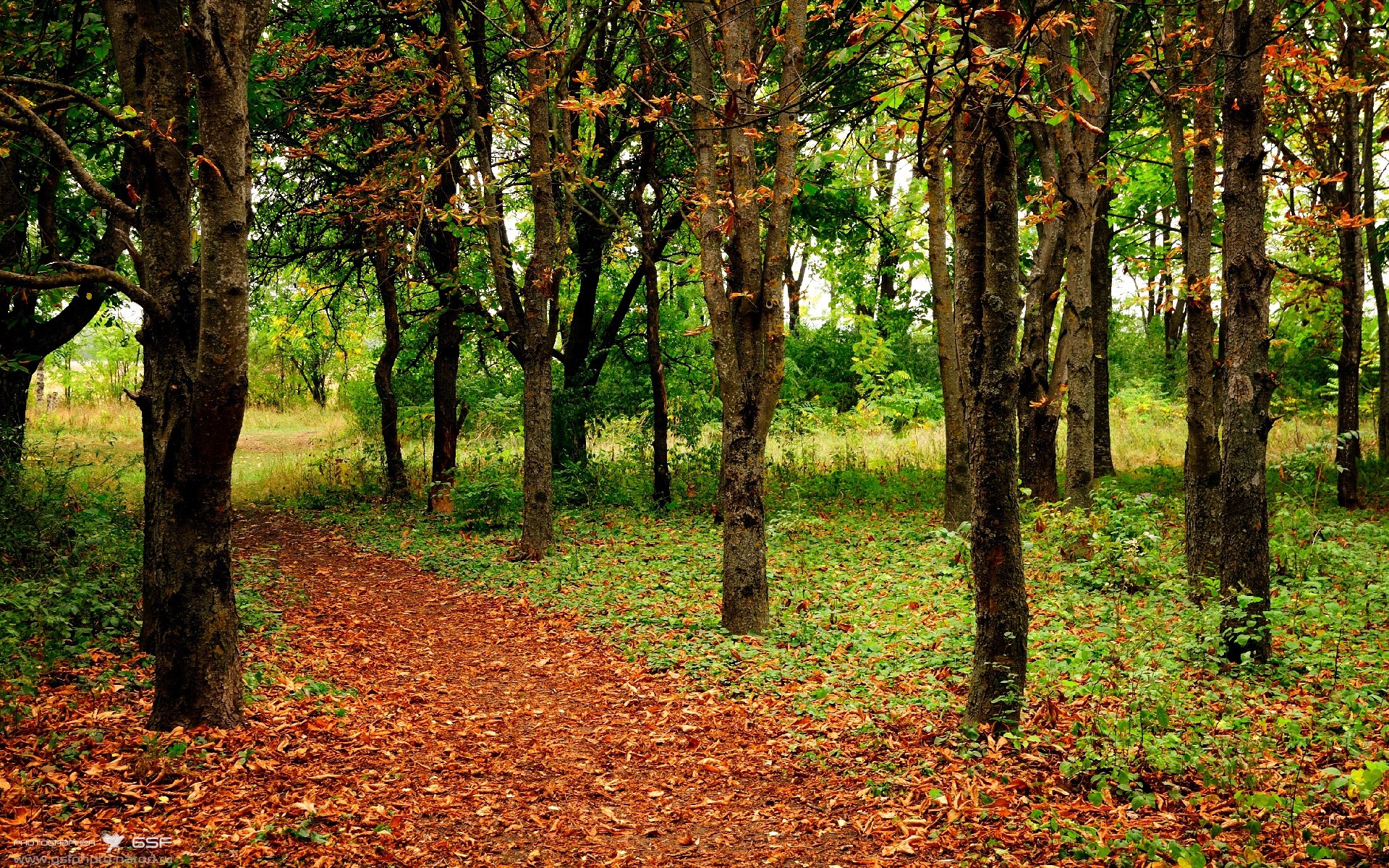 乐鱼体育app官网入口-中国三人女篮不断调整战术 追求最佳效果,中国三人女篮水平