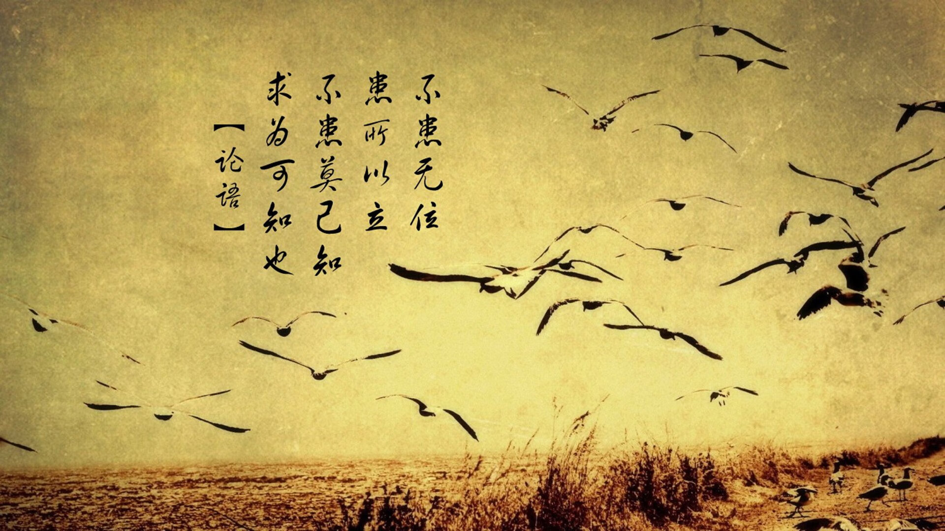 乐鱼体育app在线登录-国家队后卫线提升控球与传球技术增强组织进攻效率，国家队后卫排名